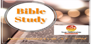 bible-study-web-950-x-460